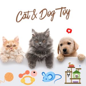 Cat and Dog Toys